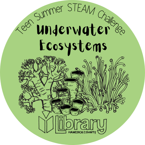 Teen Summer STEAM Challenge: Underwater Ecosystems