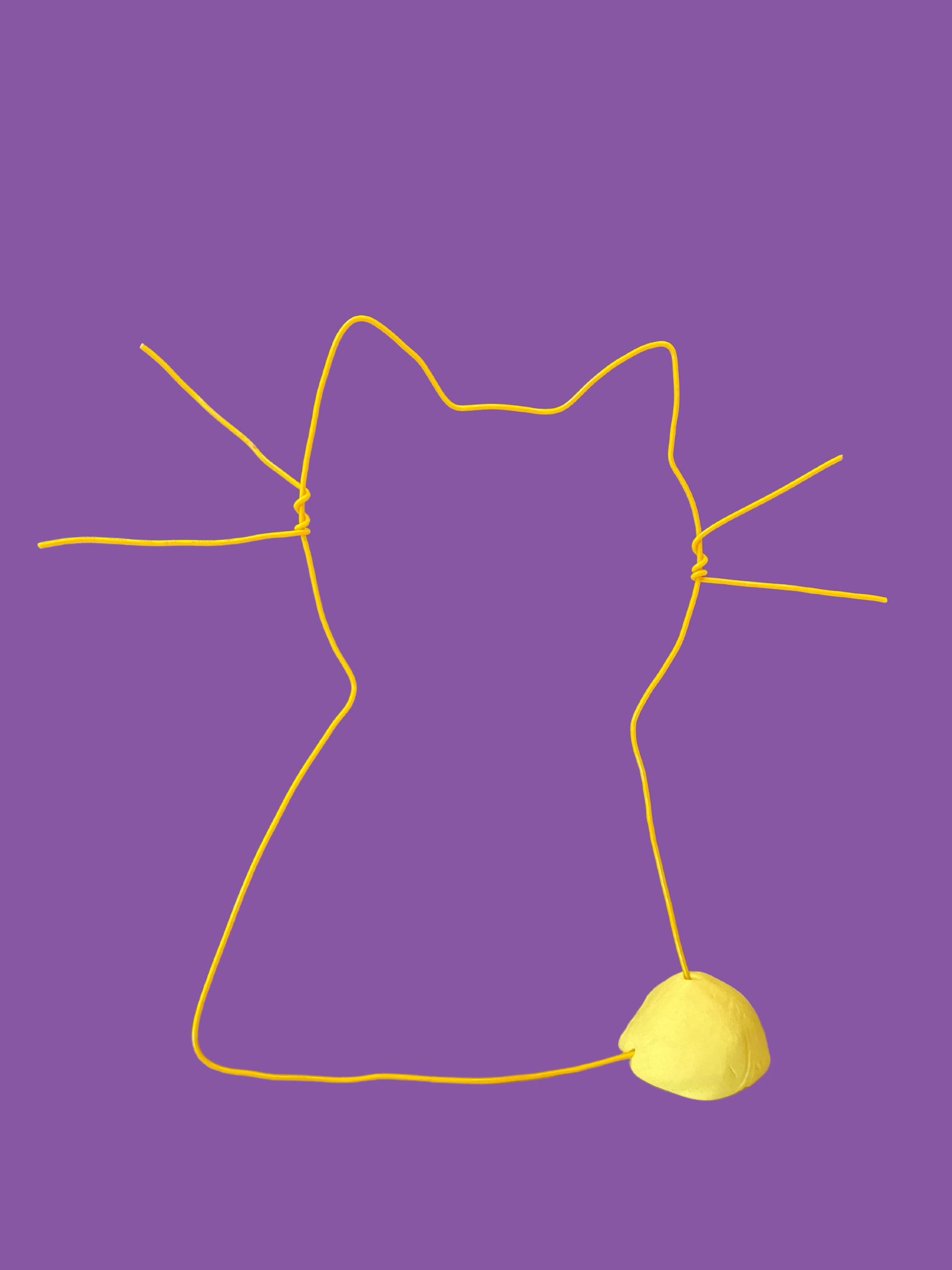 Image of wire cat.