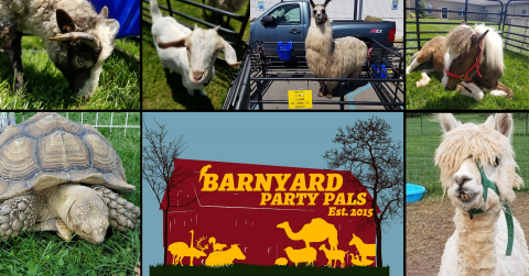 Barnyard Party Pals at the Greenfield Library