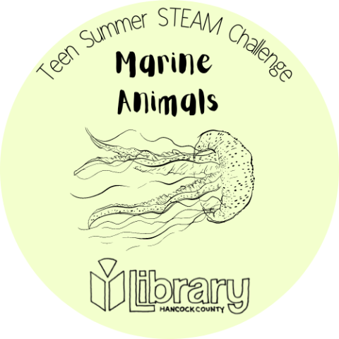 Teen Summer STEAM Challenge: Marine Animals