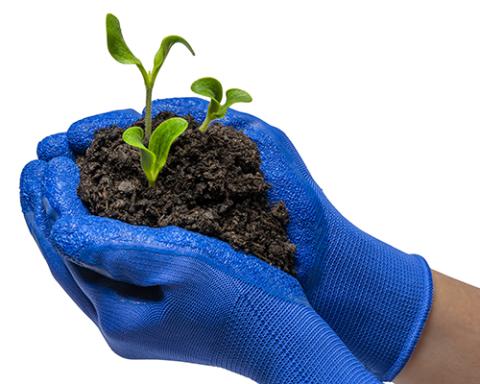 dirt in a gardener's hands