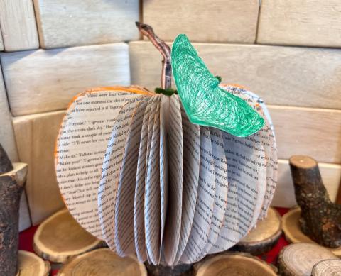 Image of book pumpkin.