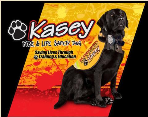 Kasey the Fire Dog