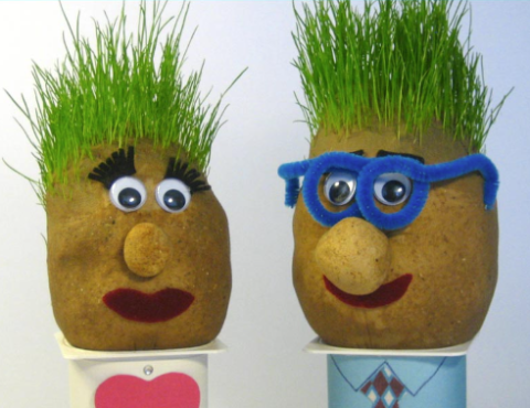 Grass Heads