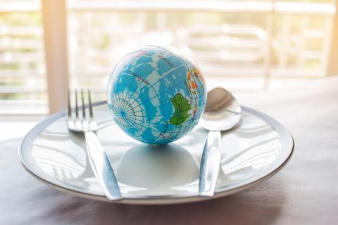 Earth on a plate