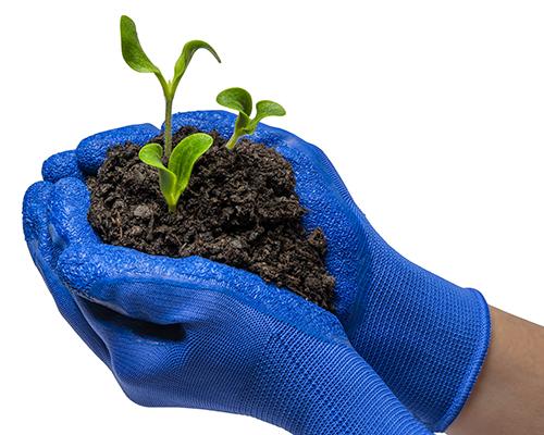 dirt in a gardener's hands