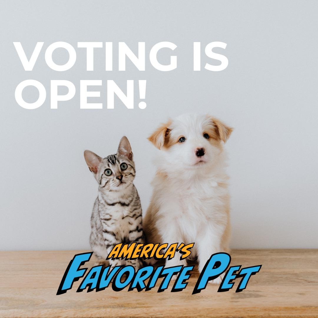 Image of cat and dog with text that says Voting is Open! America's Favorite Pet!