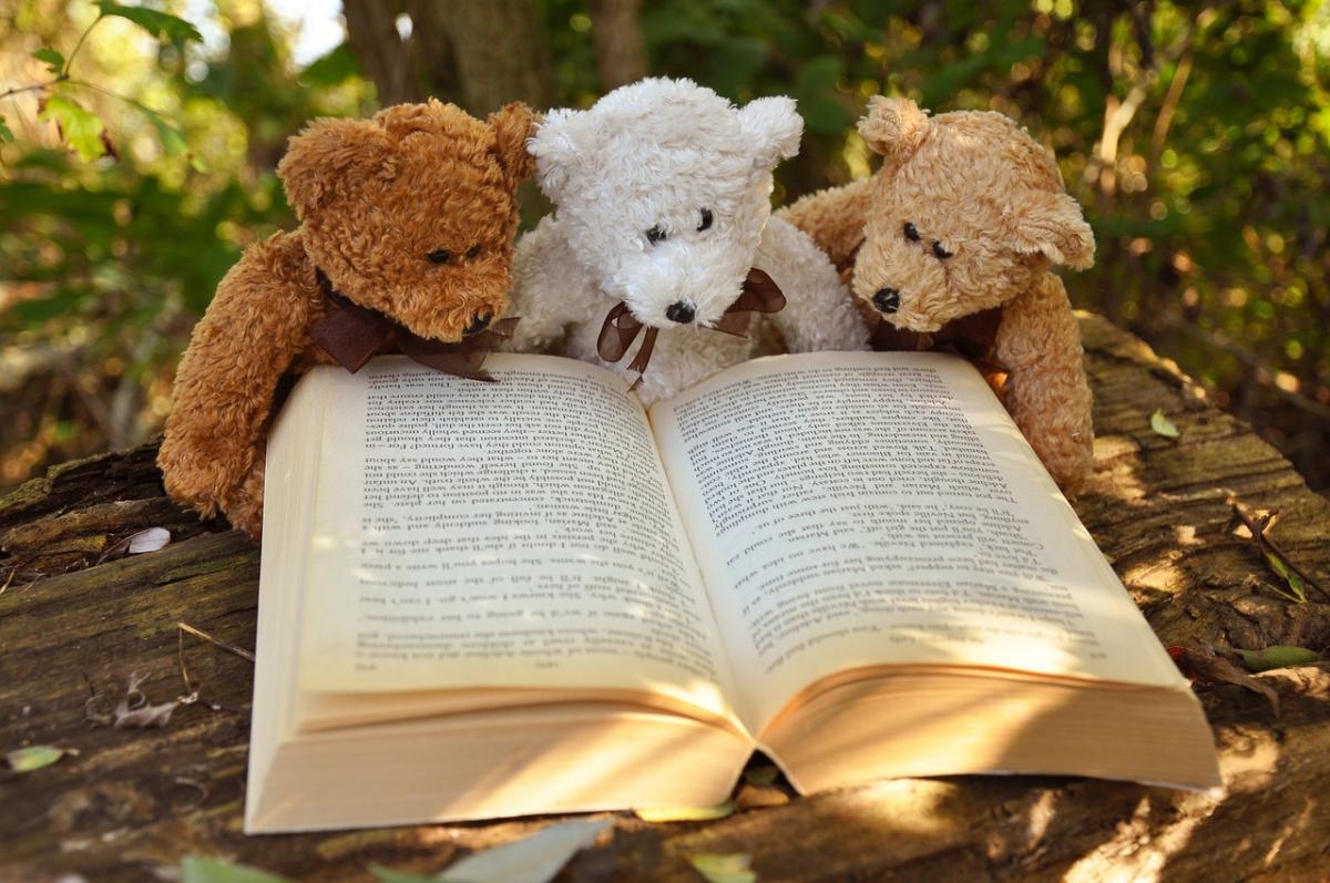 Teddy bears reading a book