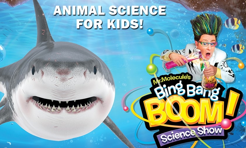Shark Tank Science Show
