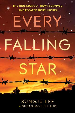 Every Falling Star cover